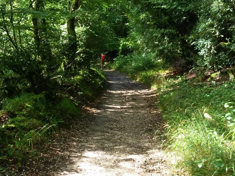 Sendero Del Roble - Hogar de Ancianos in Ñuñoa, Región Metropolitana de Santiago photo 2