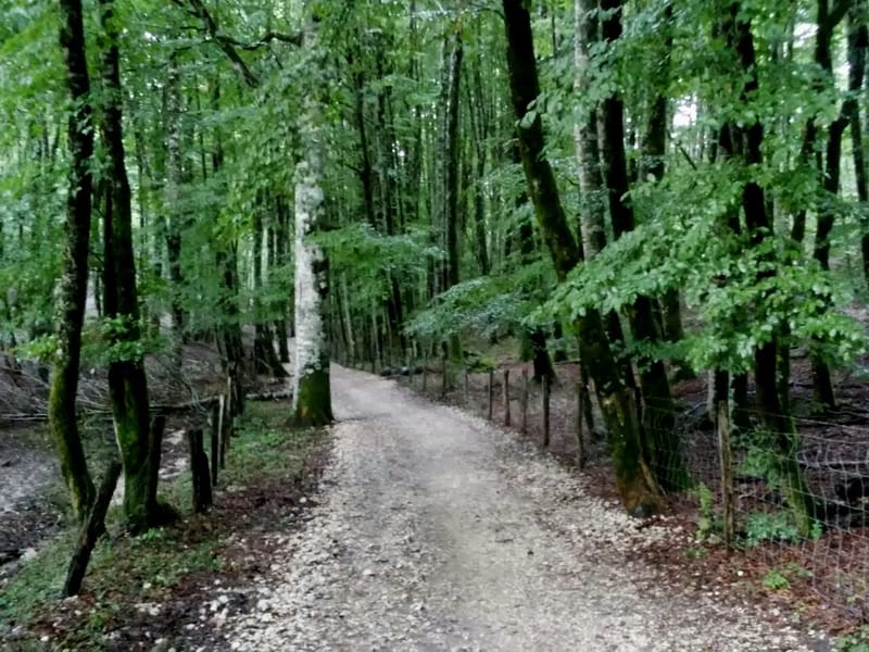 Sendero Del Roble - Hogar de Ancianos in Ñuñoa, Región Metropolitana de Santiago photo 1
