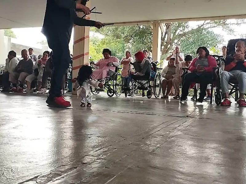 Ciudad Vicentina - Hogar de Ancianos in Mérida, Yucatán photo 4